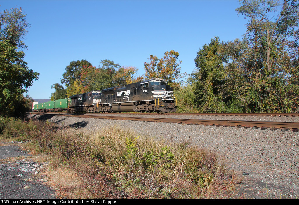 NS 1046 and 7565